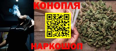 крисы Лесосибирск