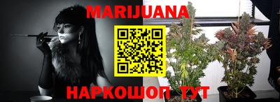 крисы Лесосибирск