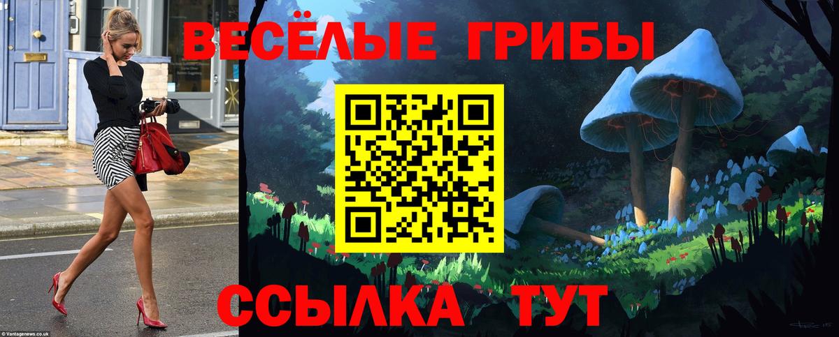 Алатырь  Псилоцибиновые грибы прущие грибы  Галлюциногенные грибы Psilocybe  Вход с VPN 
