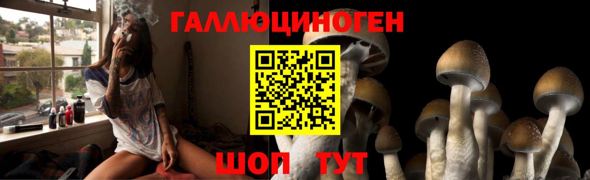 Галлюциногенные грибы мицелий Алатырь